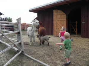 mazurskie zoo safari