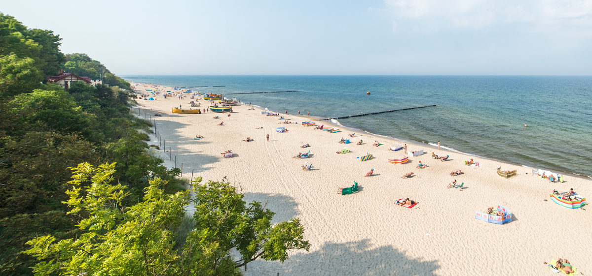 Plaża nad morzem Bałtyckim, jasny piasek las 