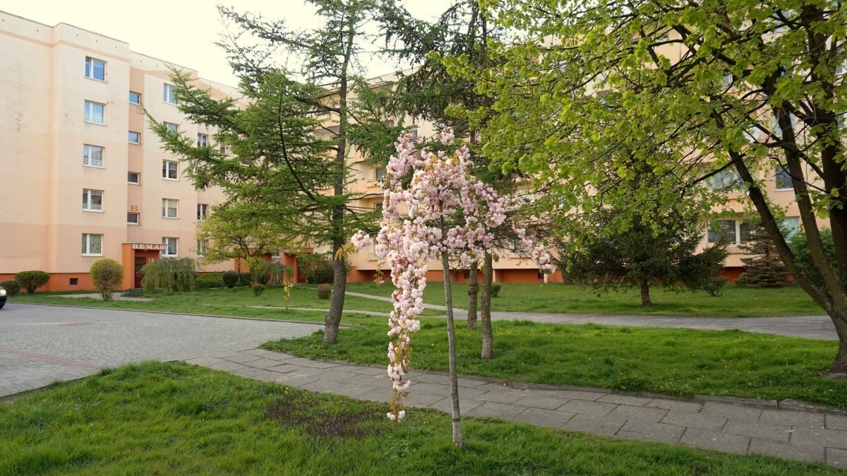 Bidynek apartamentu . Apartament STAR-Kołobrzeg.- Ogrody, 2 do 4/5 osób.  Lokalizacja KOŁOBRZEG ul. 